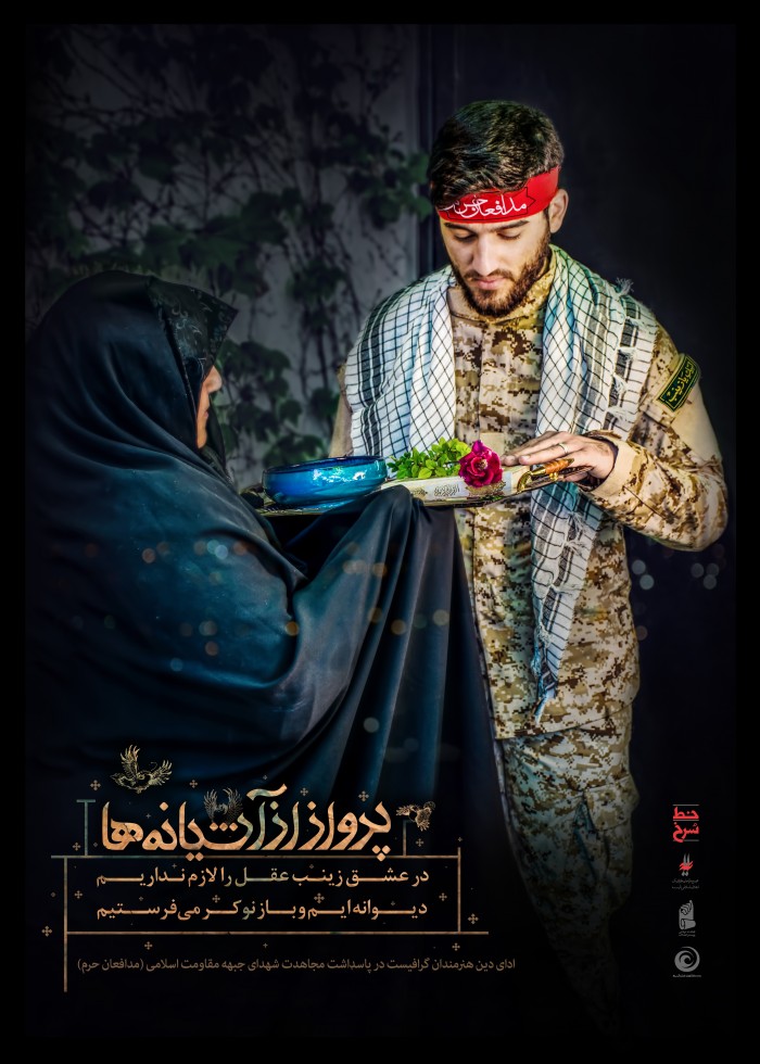 پرواز آشیانه ها