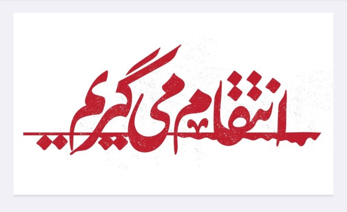 انتقام می گیریم