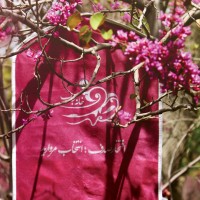 نمونه عکس برای تبلیغات بهاره محصولات خانه حجاب صدف.